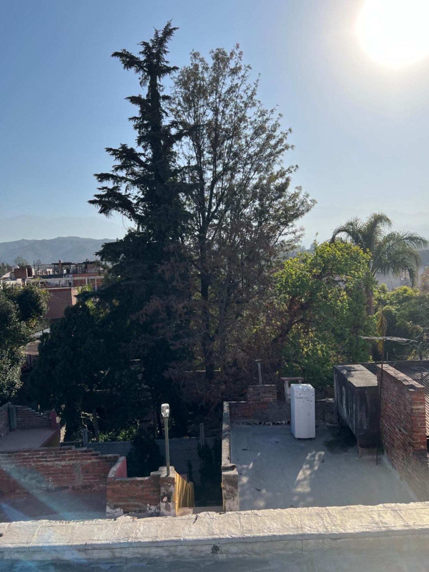 Cuyaya Hostel San Salvador de Jujuy Kültér fotó
