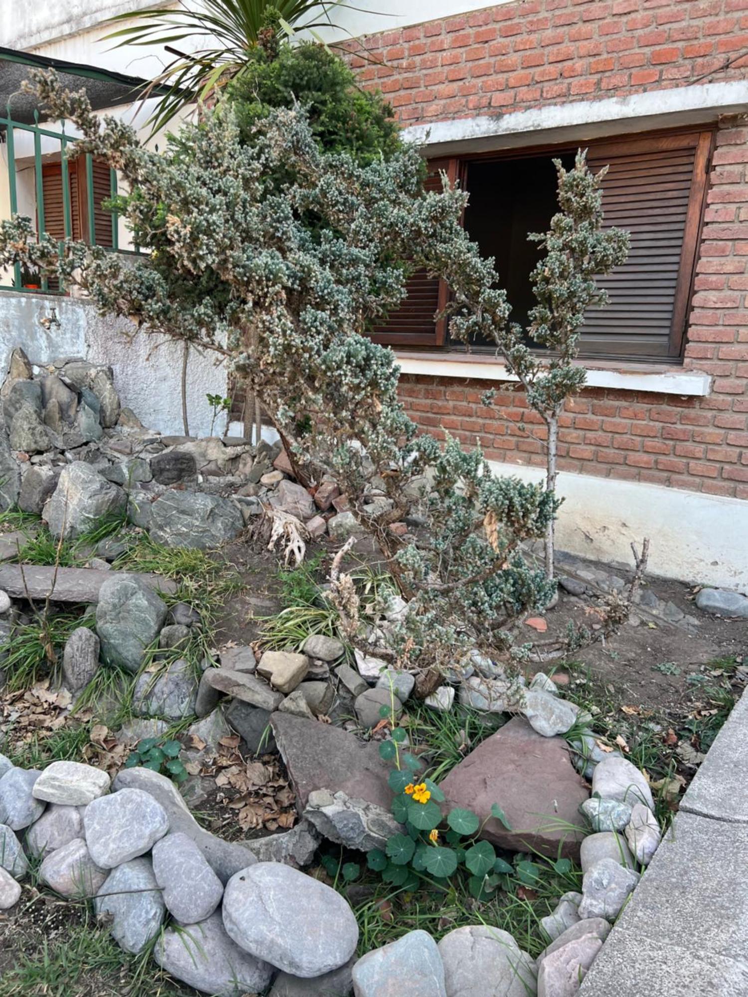 Cuyaya Hostel San Salvador de Jujuy Kültér fotó